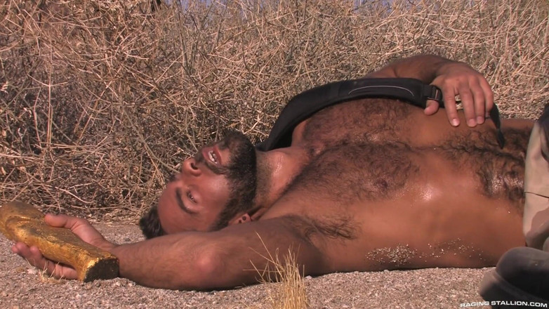 Raging Stallion: Mirage