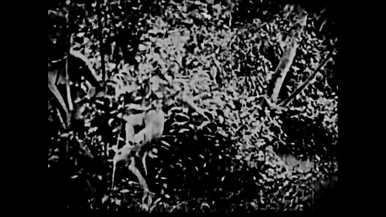 Vintage Erotic Archive: El Satario - Érotisme vintage restauré en 4K