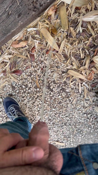 Peeing in the Garden