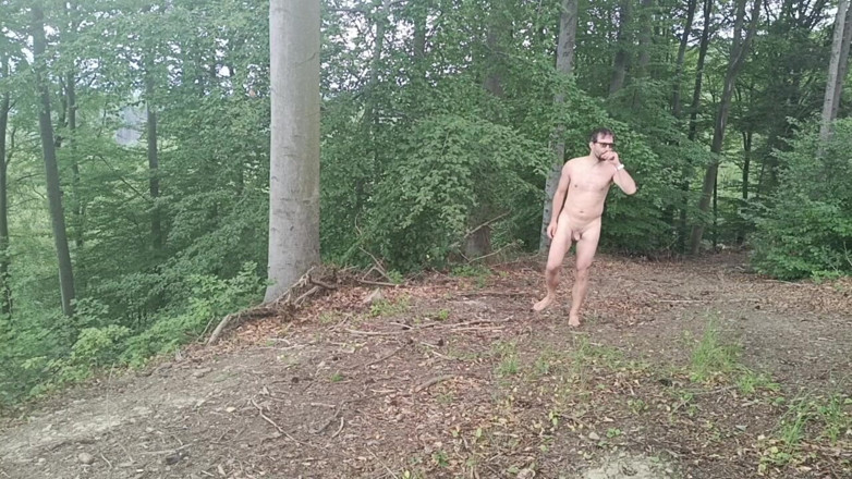 kickerscooter: Forest Exhibition: a Banished Bird in a Beech Forest