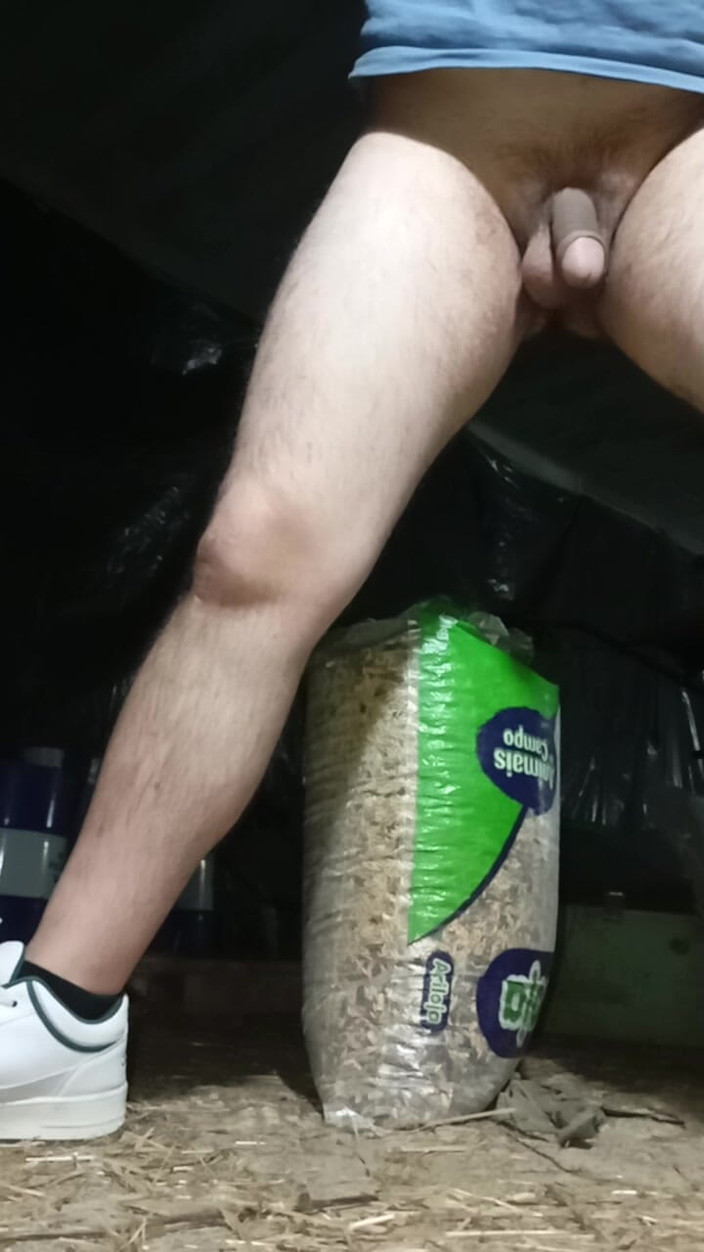 A large Portuguese dick: Avrunkning på lagret