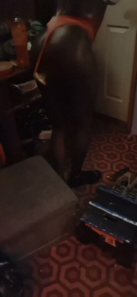 Sexy Dark Trans