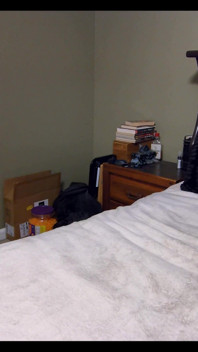 Ellie's Bedroom - Custom