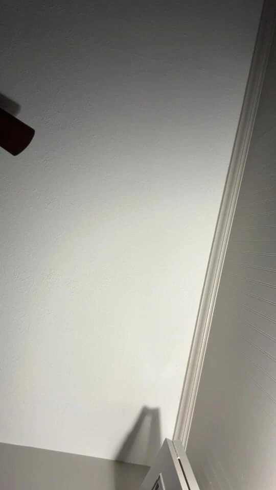 KingDom24: Alza il volume per ascoltare questa troia arrapata a edge...