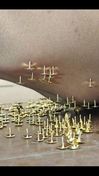 A New and Exciting Experience