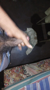 Sri Lankan Big Dick