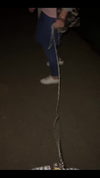 Just a Leisurely Late Night Stroll