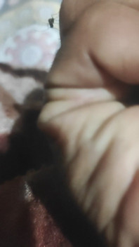 New Post on Hands