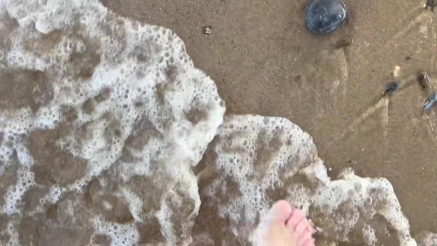 Barefoot Walking on the Beach Sfw (EeveeXo) Barefoot Walking on the Beach Sfw (EeveeXo)