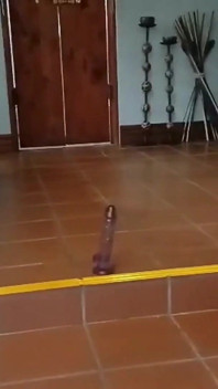 Macocha fantazjuje o pieprzonej pasierbie i drużynie piłkarskiej!