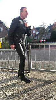 Horny Sitting on a Fence Along the Road