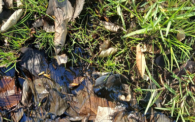 Latex Boy: Kauçuk kamera wellies'te çamur eğlencesi