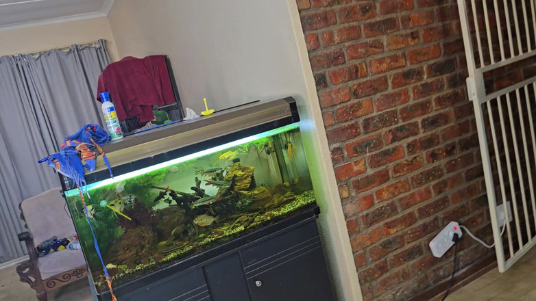 Sparowdox: Carina bionda di 19 anni cavalca una bici ex-size con un...