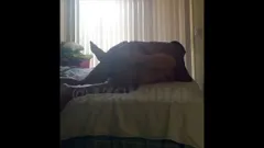 Zralá sexy manželka dostane Azgigolo 4 snídaně