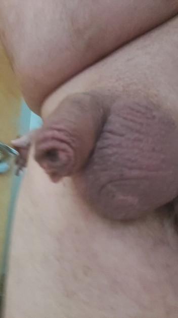 Reggies little wonder: Cold & Tiny