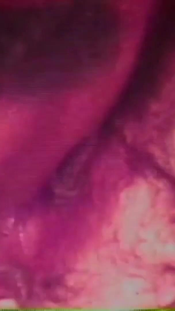 Vanessa Vulgar Pig (The Unforgettable)
