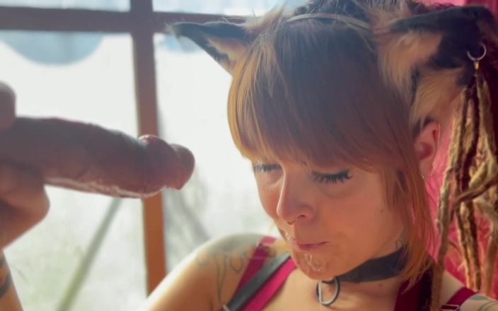 Olivia Jarden: 你会见过的最邋遢可爱的小猫