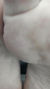 ほこりっぽくて、匂いが、目の前にいる