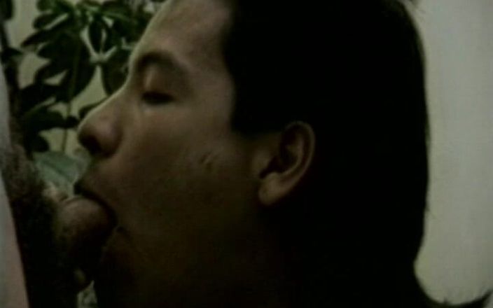 Gay RetroX VHS: Chasse au plaisir masculin enflammée n° 4