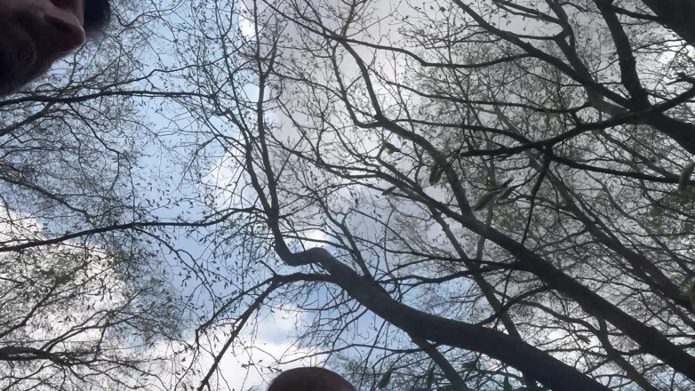 KingYordanov: Anal in the Woods Part 1