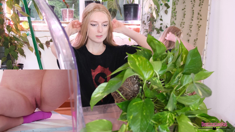 Destination Kat: Čůrání při repottingu