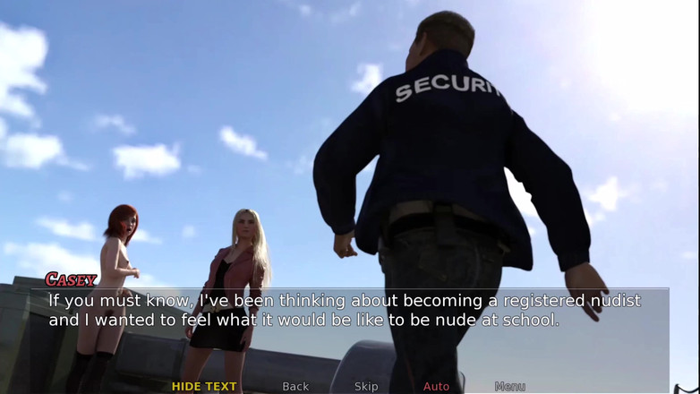 Johannes Gaming: Galerie Cassey Falls # 4