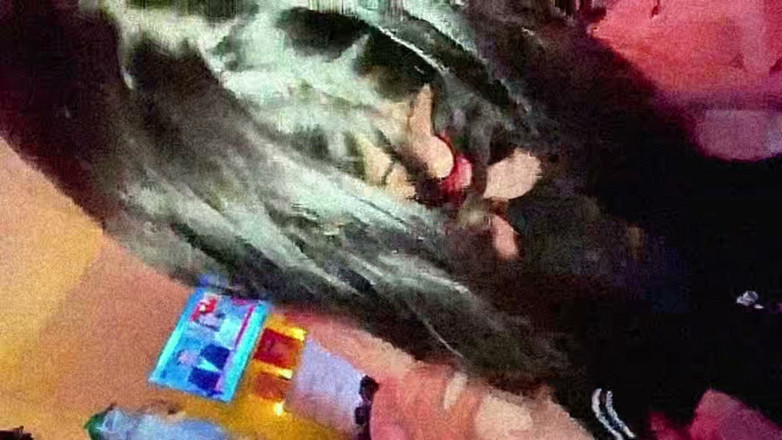 El jefe 2750: Very Cute Busty Skinny Teen Hard Sex 18yo