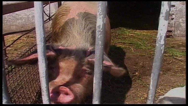 Vintage Movies XXX Best of: Vintage, une MILF blonde ravissante dans une grange et à l’extérieur