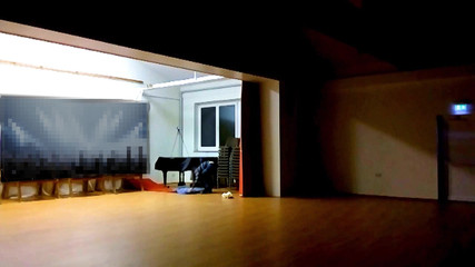 Mark Hannes: 음악홀에서 빠르게 위험한 혹 자위