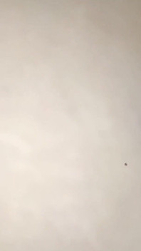 バスルームで巨根をしゃぶる