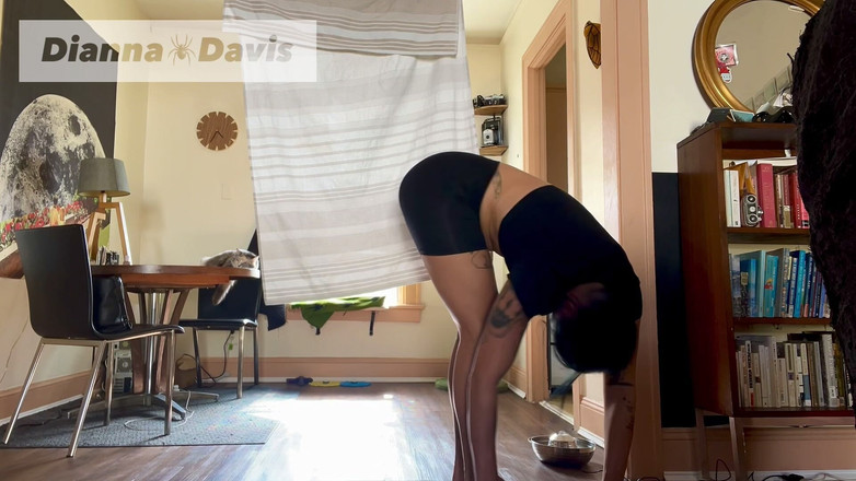 Dianna Davis: Joga prędkości