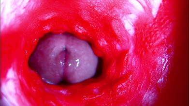 SEXY_GUYBEST: 濡れた膣の中、極端なクローズアップASMRの頭部