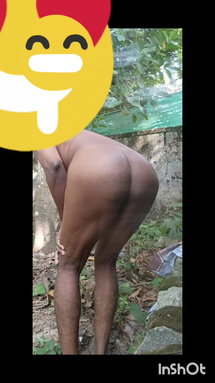 shapemodel: 부드러운 야외 판타지