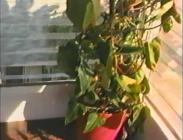 Homegrown Vintage: Bruneta dostane ze svého muže dvě nálože mrdky