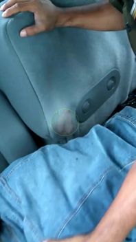 Doggy Inside the Car