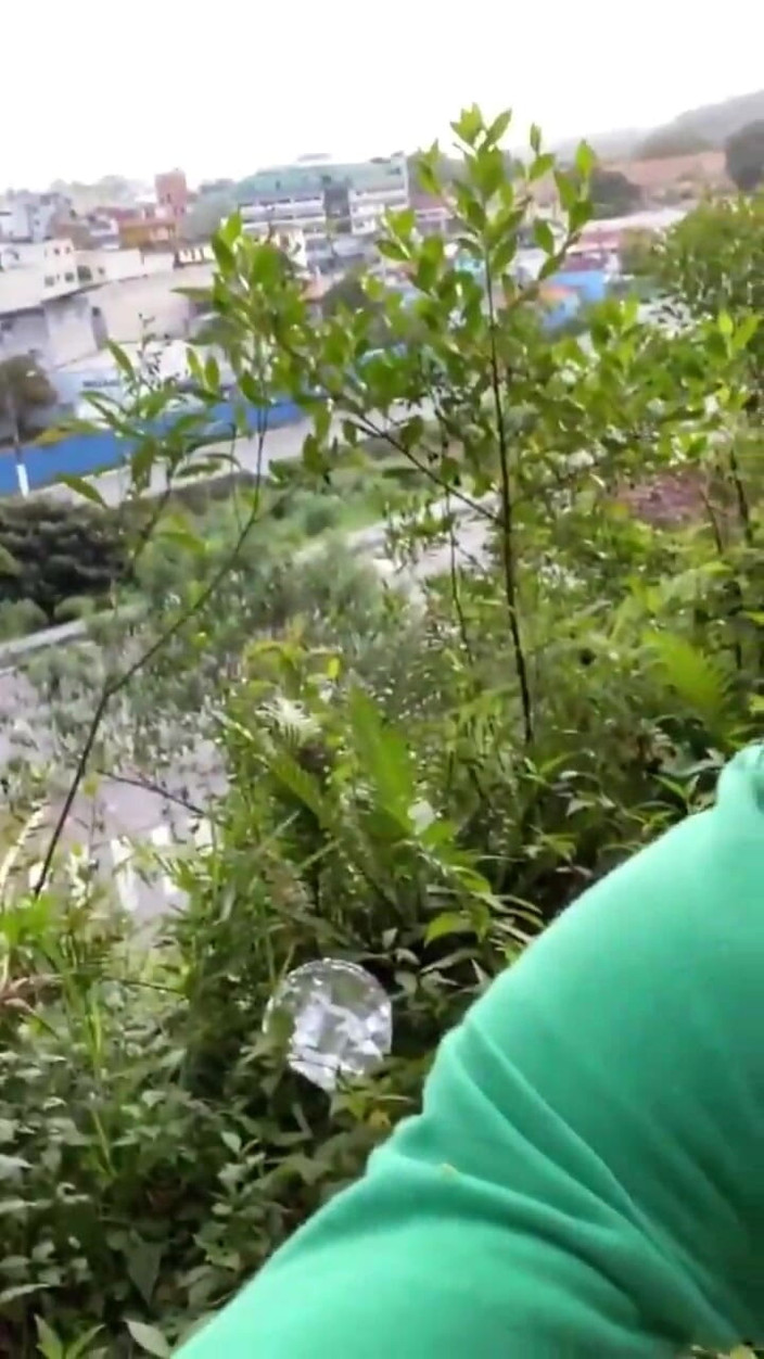 Vida Noite: Stepdad Gives Stepson a Public Lesson About Boy Underwear and...