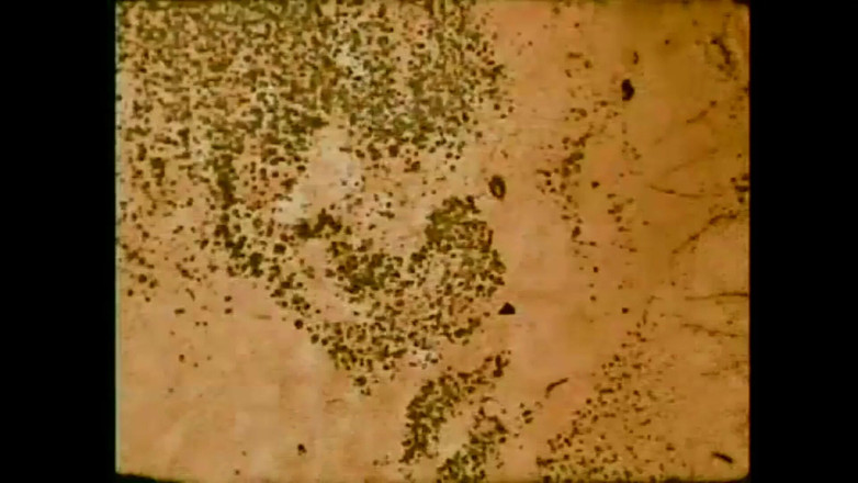 Vintage Megastore Full hd: Божевілля моєї вагіни