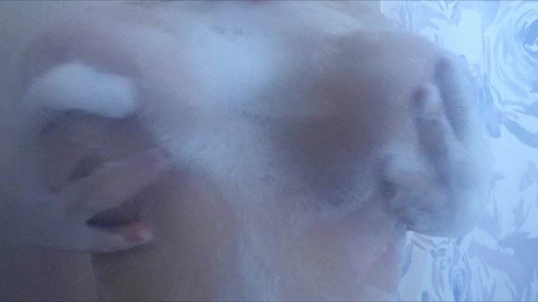 VickyVixen: Cleaning My Tits in the Shower