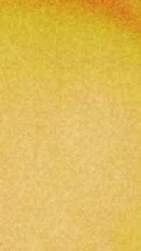 Orange sexy hintern traum