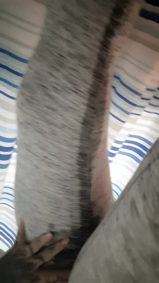 Yourfavecumslut: 主人请我自己重新发情