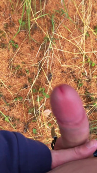 Twink Wixt Într-O Zi De Toamnă În Pădure Și Squirt Excitat