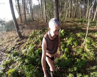 Andy: Hari Sejuk Di Dalam Hutan