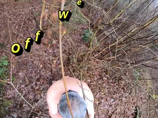 Andy: Dildo in the Wood
