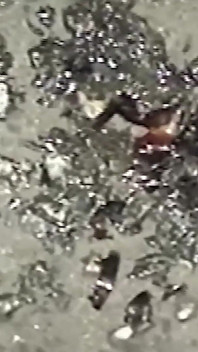 Surové chlapi Scéna 4 nadržení přátelé chtějí své zadky naplněné tvrdým masem
