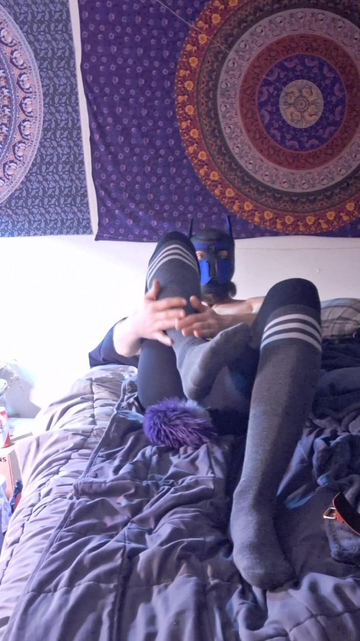 Robert48569: Calcetines de gargantilla en cadenas ladrando fetiche