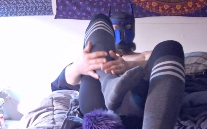 Robert48569: Fetish menggonggong choker peliharan dengan kaus kaki peliharaan