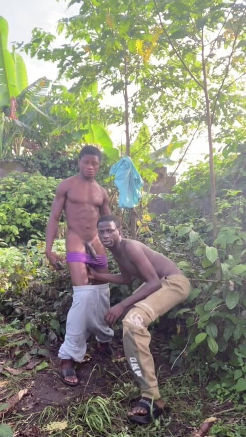 Thelittle_brown: Greetings to Everyone in a Sexy Way
