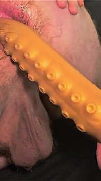 Chubby Bear Dildo Play