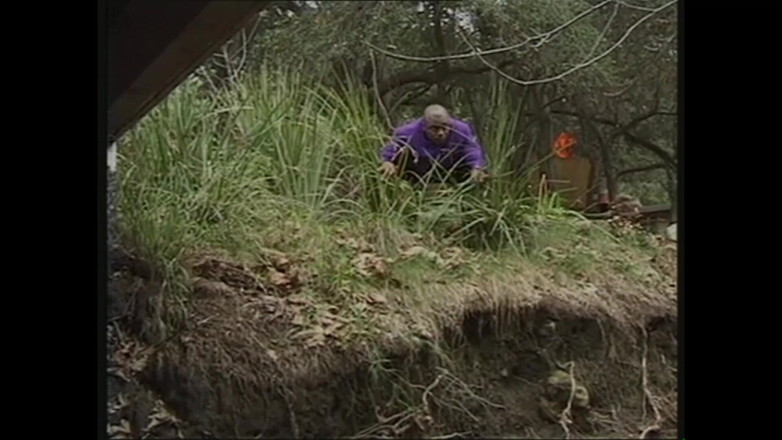 MMV films - The Original: O Preto Da Floresta