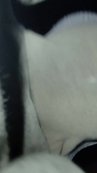 I Cum on My Mother-in-law's Dirty Panties